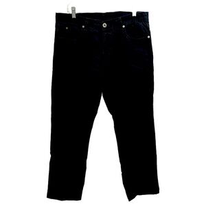 James Perse Men Standard Button Fly Canvas Pants